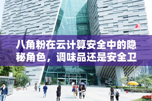 八角粉在云计算安全中的隐秘角色，调味品还是安全卫士？