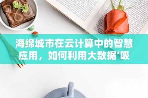 海绵城市在云计算中的智慧应用，如何利用大数据‘吸水’？