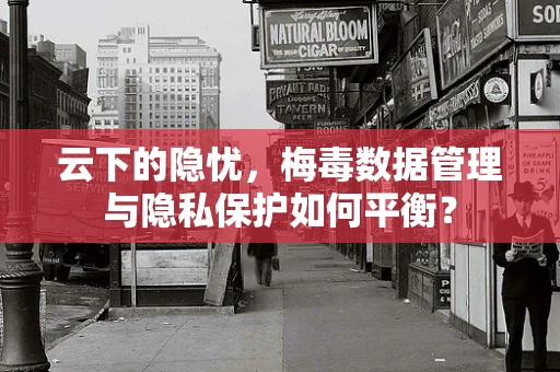 云下的隐忧，梅毒数据管理与隐私保护如何平衡？
