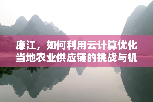 廉江，如何利用云计算优化当地农业供应链的挑战与机遇？