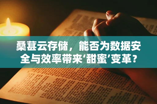 桑葚云存储，能否为数据安全与效率带来‘甜蜜’变革？