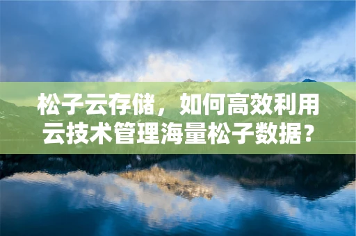 松子云存储，如何高效利用云技术管理海量松子数据？