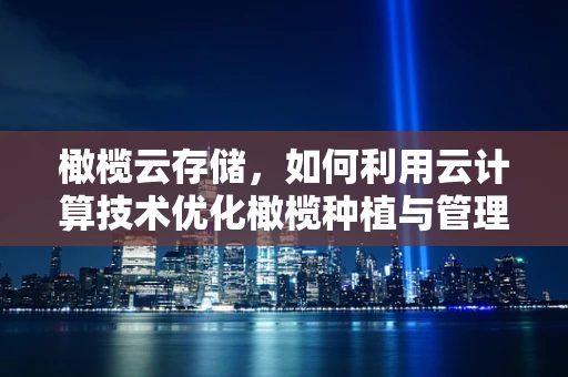 橄榄云存储，如何利用云计算技术优化橄榄种植与管理的智慧之选？