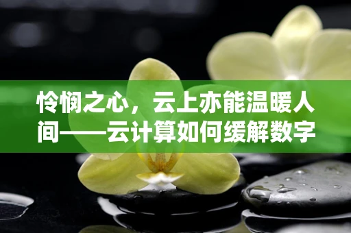 怜悯之心，云上亦能温暖人间——云计算如何缓解数字鸿沟？
