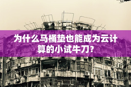 为什么马桶垫也能成为云计算的小试牛刀？
