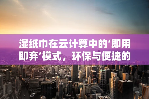 湿纸巾在云计算中的‘即用即弃’模式，环保与便捷的双重考量