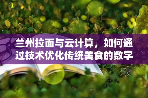 兰州拉面与云计算，如何通过技术优化传统美食的数字化体验？