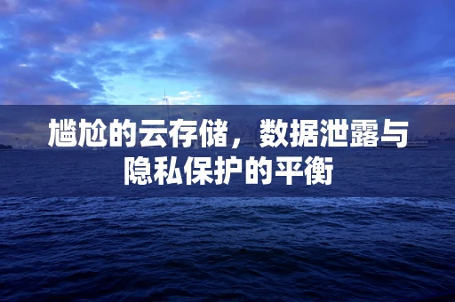 尴尬的云存储，数据泄露与隐私保护的平衡
