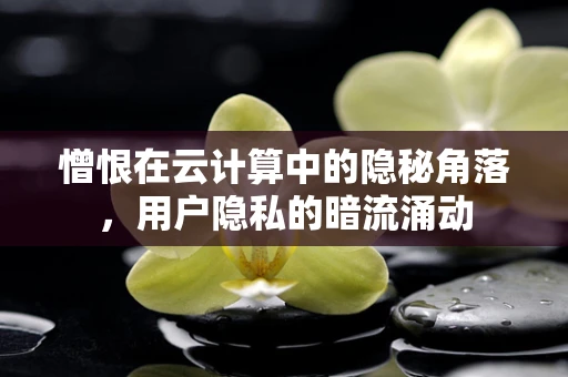 憎恨在云计算中的隐秘角落，用户隐私的暗流涌动