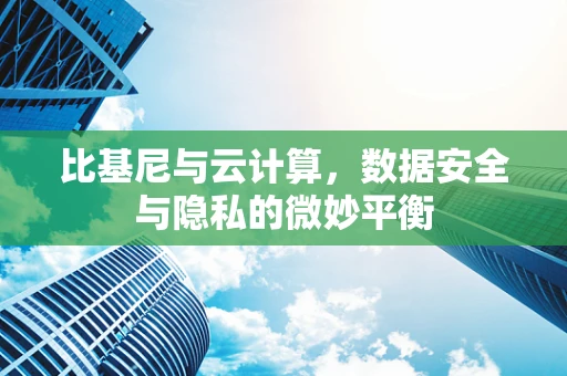 比基尼与云计算，数据安全与隐私的微妙平衡
