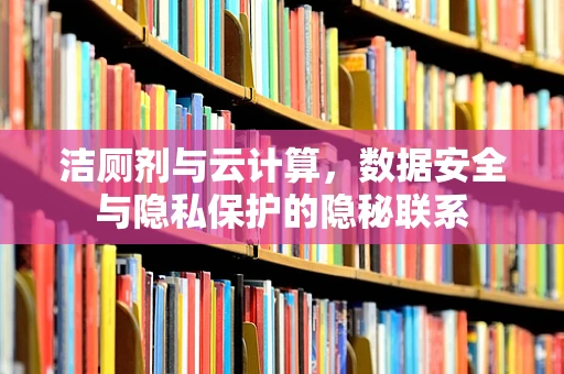 洁厕剂与云计算，数据安全与隐私保护的隐秘联系