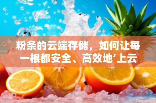 粉条的云端存储，如何让每一根都安全、高效地‘上云’？