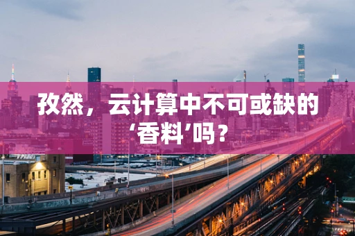 孜然，云计算中不可或缺的‘香料’吗？