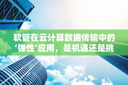 软管在云计算数据传输中的‘弹性’应用，是机遇还是挑战？