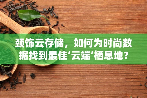 颈饰云存储，如何为时尚数据找到最佳‘云端’栖息地？