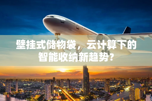壁挂式储物袋，云计算下的智能收纳新趋势？