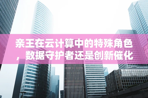 亲王在云计算中的特殊角色，数据守护者还是创新催化剂？