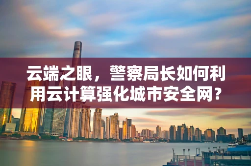 云端之眼，警察局长如何利用云计算强化城市安全网？