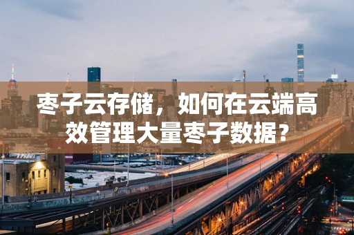 枣子云存储，如何在云端高效管理大量枣子数据？