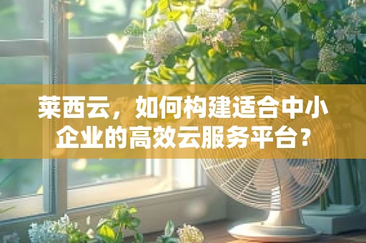 莱西云，如何构建适合中小企业的高效云服务平台？