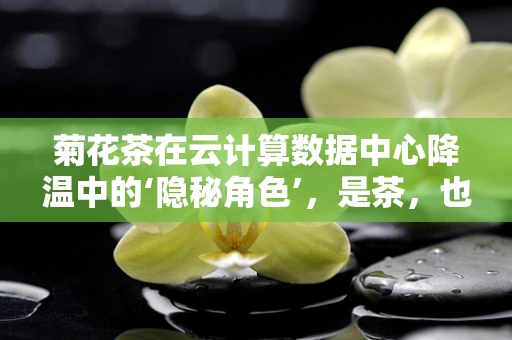 菊花茶在云计算数据中心降温中的‘隐秘角色’，是茶，也是科技解暑良方？