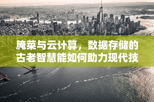 腌菜与云计算，数据存储的古老智慧能如何助力现代技术？