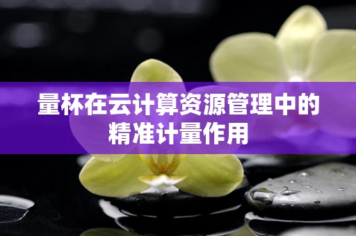 量杯在云计算资源管理中的精准计量作用
