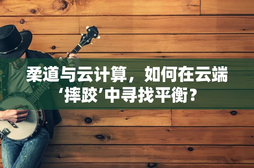 柔道与云计算，如何在云端‘摔跤’中寻找平衡？