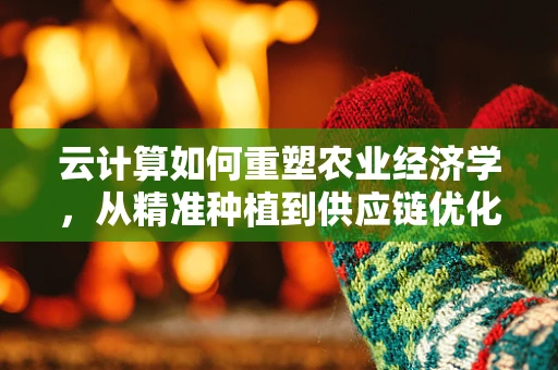 云计算如何重塑农业经济学，从精准种植到供应链优化的新路径？