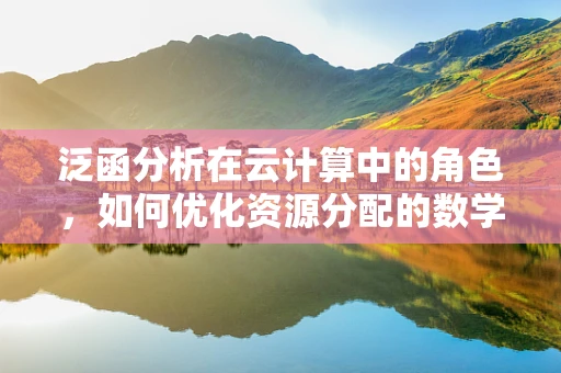 泛函分析在云计算中的角色，如何优化资源分配的数学工具？