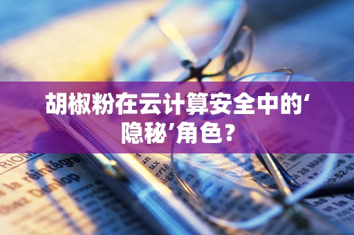 胡椒粉在云计算安全中的‘隐秘’角色？