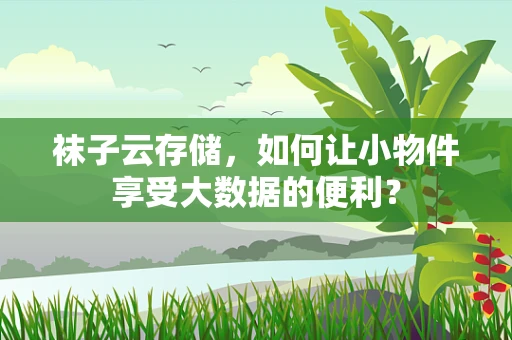 袜子云存储，如何让小物件享受大数据的便利？