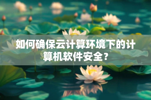 如何确保云计算环境下的计算机软件安全？