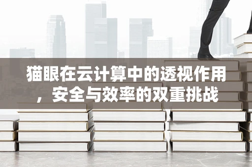 猫眼在云计算中的透视作用，安全与效率的双重挑战
