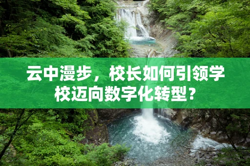 云中漫步，校长如何引领学校迈向数字化转型？