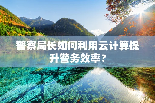 警察局长如何利用云计算提升警务效率？