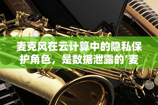 麦克风在云计算中的隐私保护角色，是数据泄露的‘麦克风’还是安全的‘守护者’？