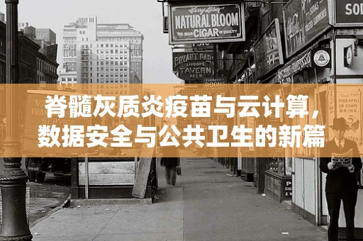 脊髓灰质炎疫苗与云计算，数据安全与公共卫生的新篇章