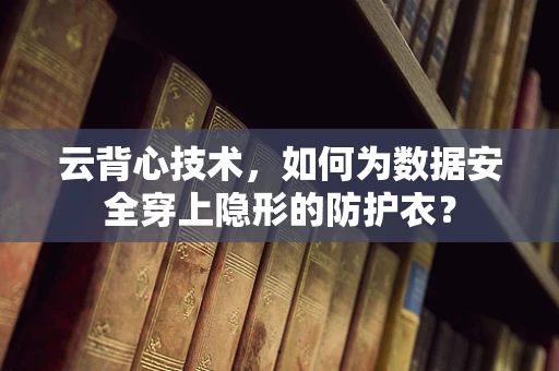 云背心技术，如何为数据安全穿上隐形的防护衣？