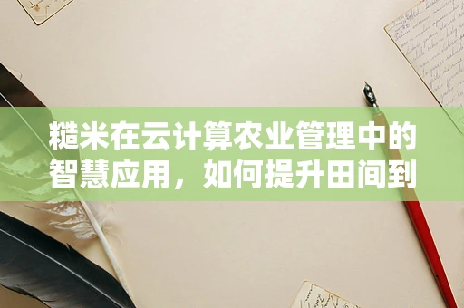 糙米在云计算农业管理中的智慧应用，如何提升田间到餐桌的透明度？