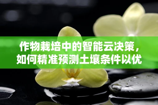 作物栽培中的智能云决策，如何精准预测土壤条件以优化灌溉？