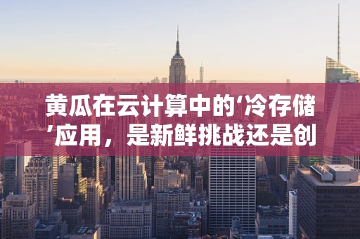 黄瓜在云计算中的‘冷存储’应用，是新鲜挑战还是创新机遇？