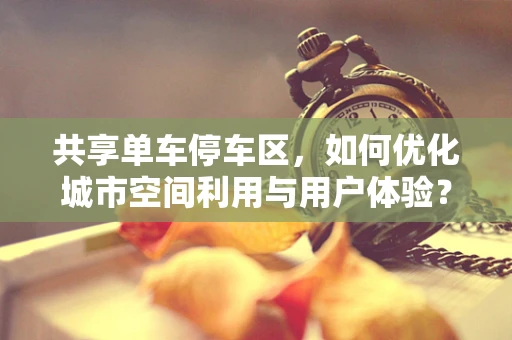 共享单车停车区，如何优化城市空间利用与用户体验？