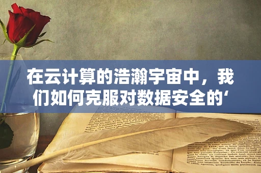 在云计算的浩瀚宇宙中，我们如何克服对数据安全的‘厌恶’？