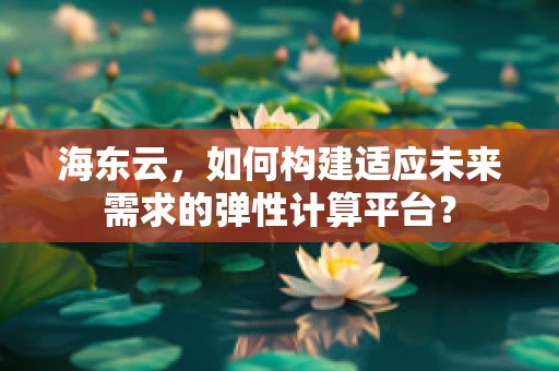 海东云，如何构建适应未来需求的弹性计算平台？