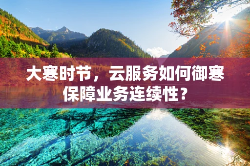 大寒时节，云服务如何御寒保障业务连续性？