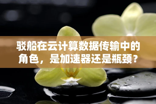 驳船在云计算数据传输中的角色，是加速器还是瓶颈？