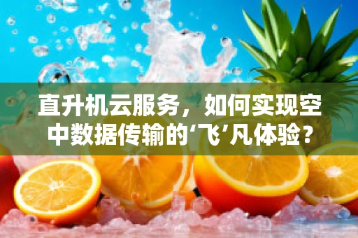 直升机云服务，如何实现空中数据传输的‘飞’凡体验？