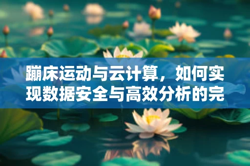 蹦床运动与云计算，如何实现数据安全与高效分析的完美结合？