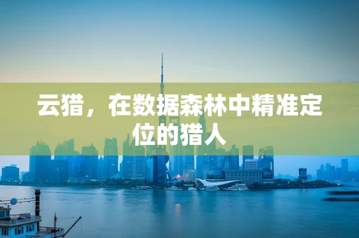 云猎，在数据森林中精准定位的猎人